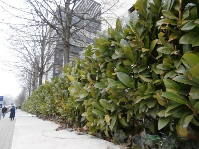 XII_budán_kiadó_luxus_lakas_mom_lakoparkban