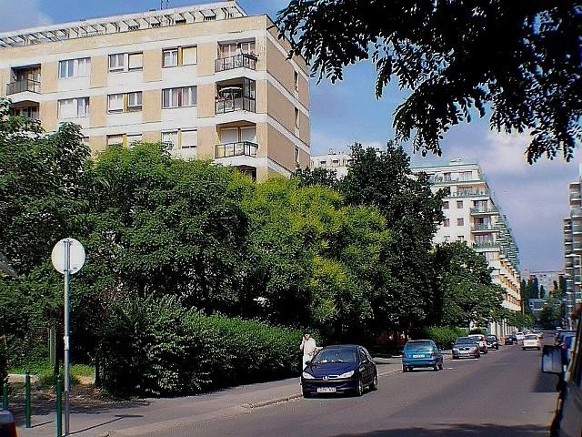 XIII_budapest_cezar_hazban_luxuslakas_elado_kiado